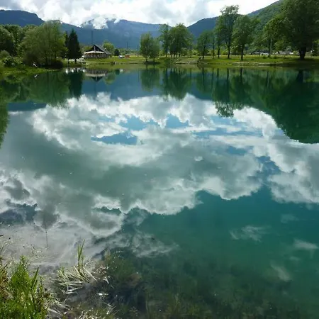 D'annecy T2 Grand Jardin Apartment *