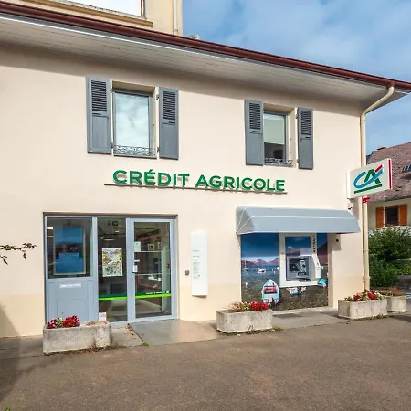 D'annecy T2 Grand Jardin Apartment