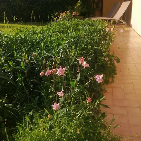 Appartement D'annecy T2 Grand Jardin *